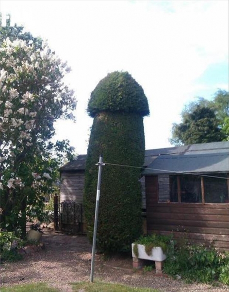 131