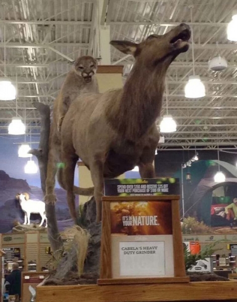 162