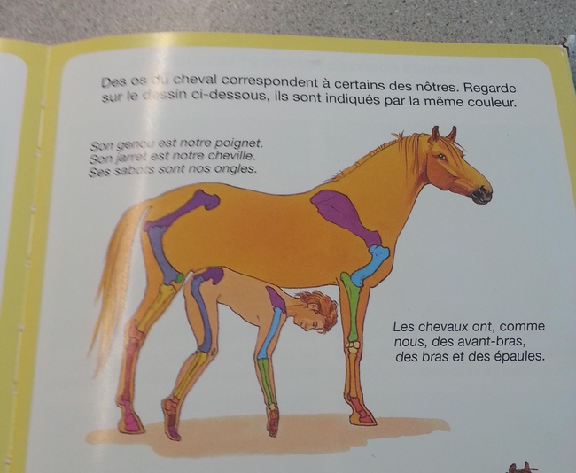 207