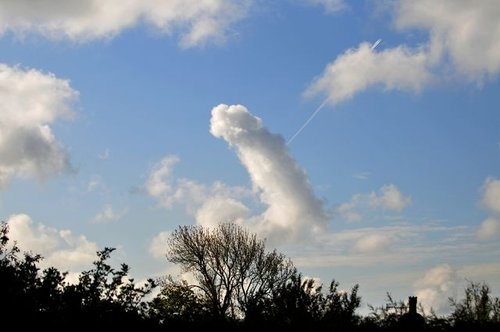 227
